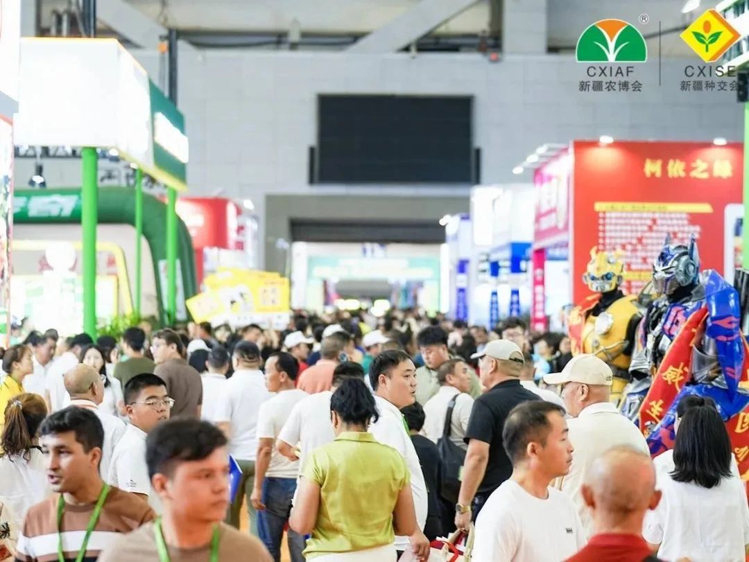 微信图片_20250826171902